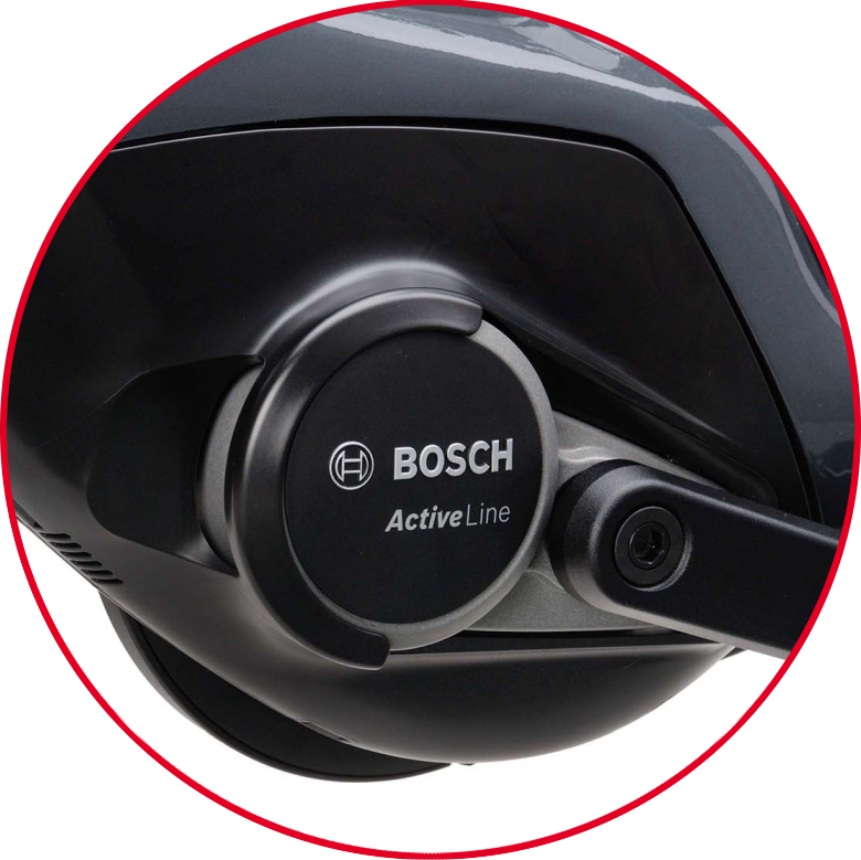 rower-elektryczny-batavus-bosch-active-linepsd