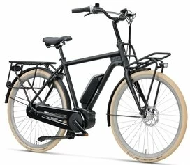 Rower elektryczny Batavus Quip Extra Cargo Bosch